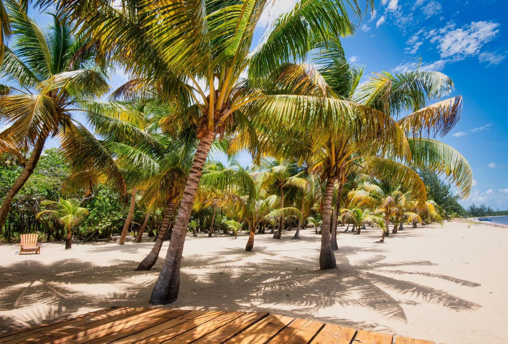 Sabal Beach Punta Gorda Exterior photo